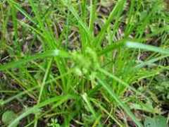 passionbassin.com Cyera