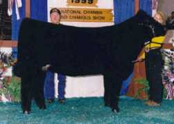 firstbankconnect.com Dacie