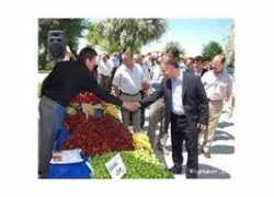 blog.milliyet.com.tr Dagitim