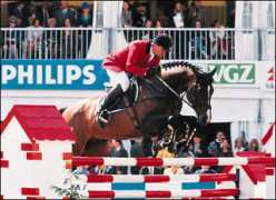 sportpferde-angerer.at Damiro