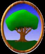 dammous.com Dammous