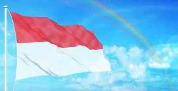 manado.tribunnews.com Dampal