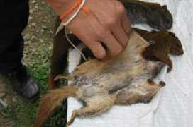 g1.globo.com Daosavanh