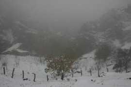 8pmdaily.com Darband