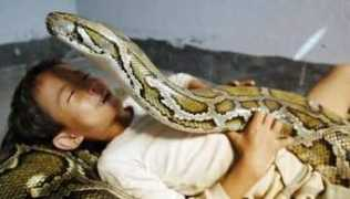 indiaonrent.com Dareing