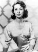 bruno318.free.fr Darrieu