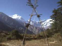 nepal-dia.de Dassain