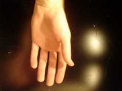 firearmstalk.com Dayid