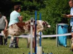 indian-outlaws.nl Dayita