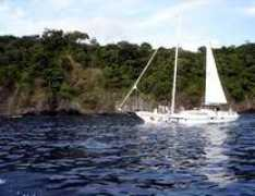 cupotico.com Daysita