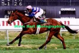 racingpages.com.au Ddancer