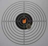 airgunsofarizona.com Decapio