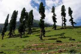 panoramio.com Deenah