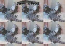 Deepthroat