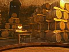 litscapeart.com Deicas