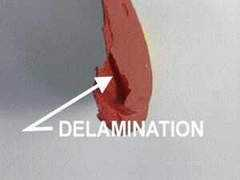 Delam