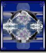 idezetekkepekkel.network.hu Delfinek