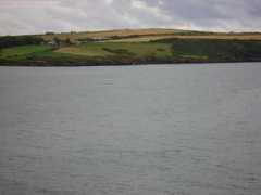 panoramio.com Delfinek