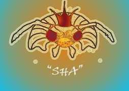 mensch3000.ch Delhia