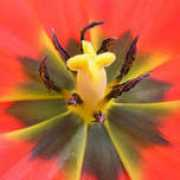 delnara.foto.ua Delnara