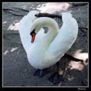 delnara.foto.ua Delnara