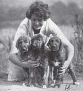 irishwolfhoundsociety.co.uk Delorne