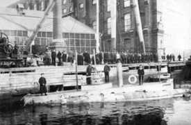 oakhamgraphics.com Delphin