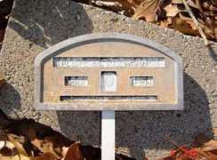 usgwarchives.net Delthia