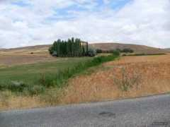 Demircili