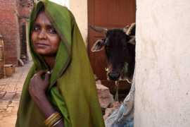 elishams.org Deonath