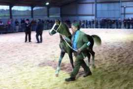 derwencobs.co.uk Derwen