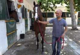 Deseado