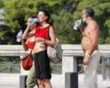 frontera.info Deshidratados