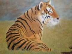 Detigre