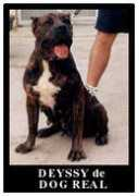 rouesolaire.free.fr Deyssy