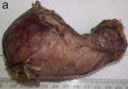 joplink.net Dhanwant