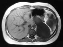 joplink.net Dhanwant