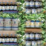 tradeindia.com Dhanwanthari