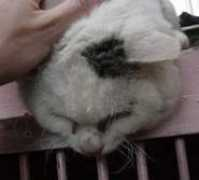 home.b05.itscom.net Dhiro