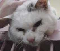 home.b05.itscom.net Dhiro