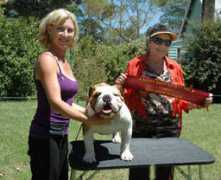 helencatherinecramer.com Diamonz