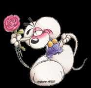drogbaster.it Didol