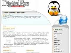 Digitaleye