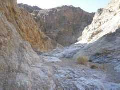 panamintcity.com Digonnet