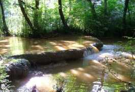 resimler.tv Dikilitas