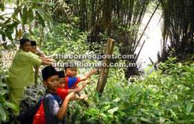 theborneopost.com Dinanti