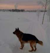 fashionista.se Dinker