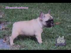 article.wn.com Direnna