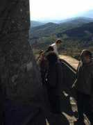 cardax.it Dirupo