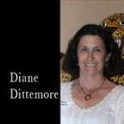Dittemore